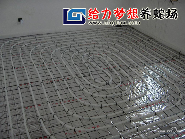 �B�ߌ��õؕ�