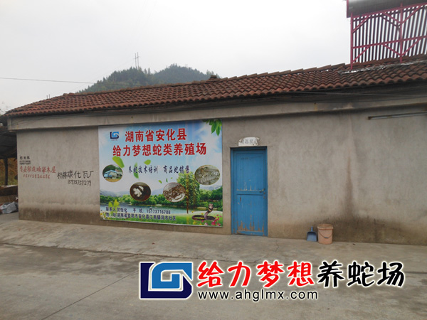 給力夢(mèng)想養(yǎng)蛇場(chǎng)