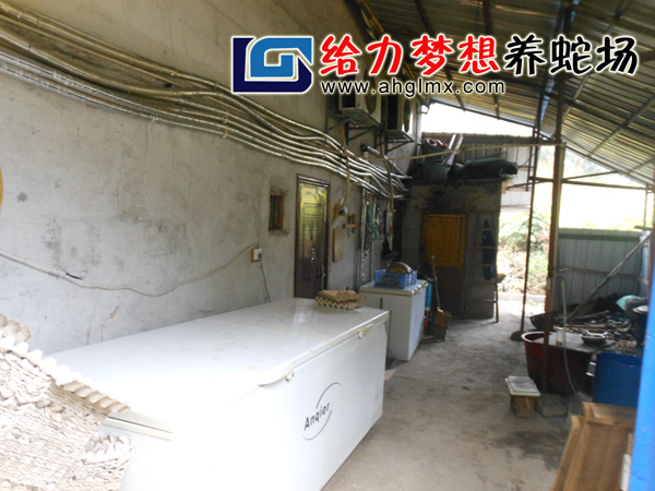 給力夢(mèng)想養(yǎng)蛇場(chǎng)