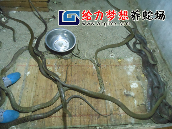 ˮ������