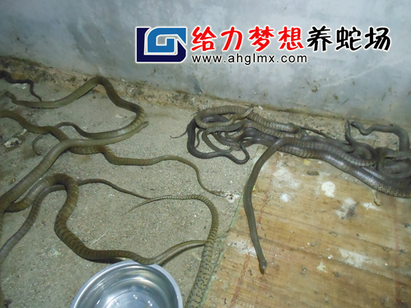 ˮ������