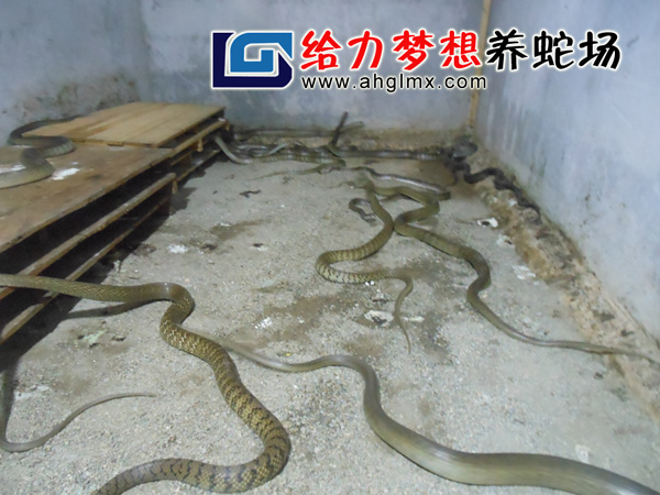 ˮ������