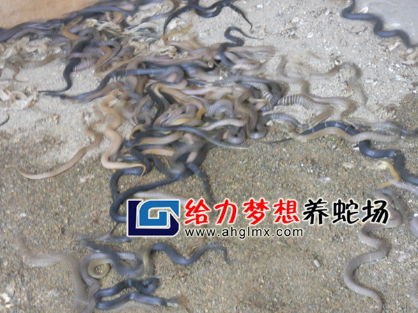 ���R����