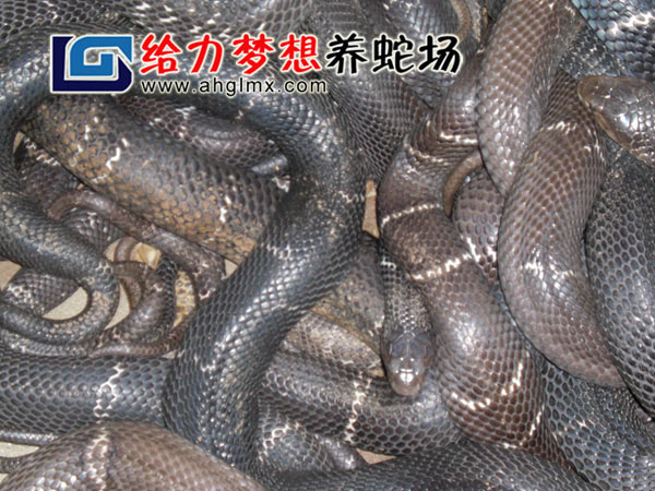 ���R���Bֳ