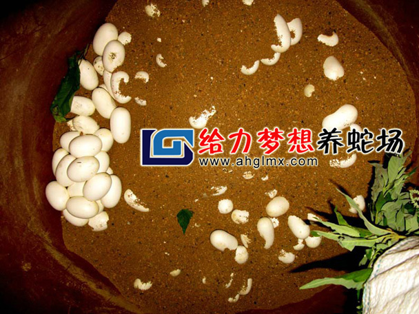 �B�߈�,�B�߻���