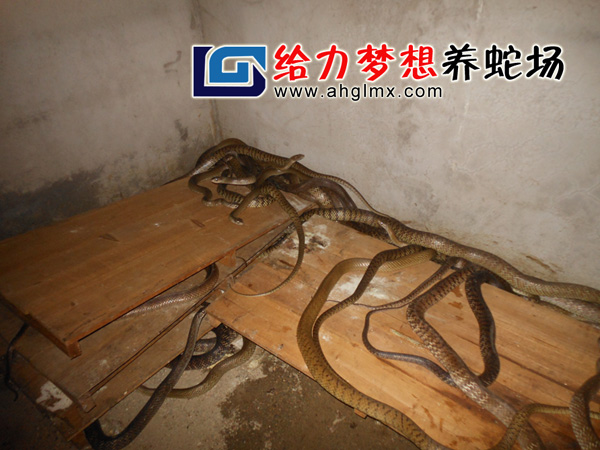 �B�߈�,�B�߻���