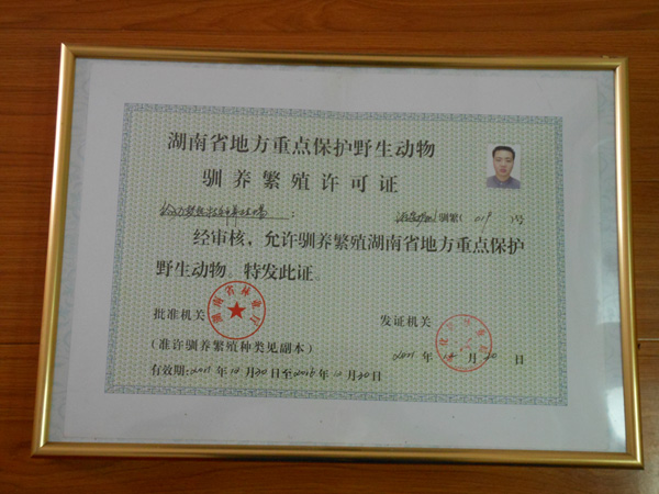 �B���Z�B�S���C