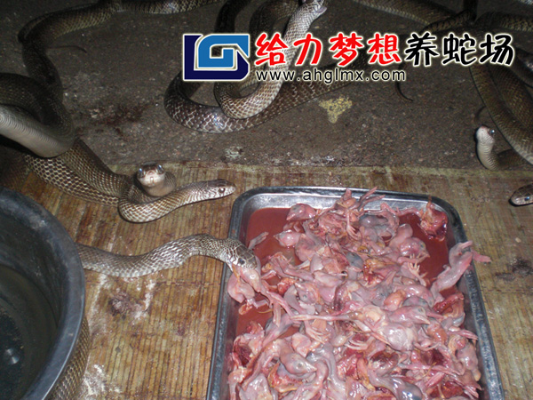 ˮ�����Bֳ