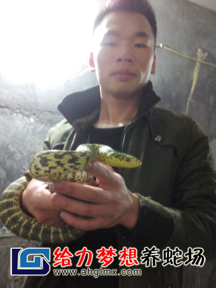 �W(xu��)�T�W(xu��)��(x��)�B(y��ng)�߼��g(sh��)