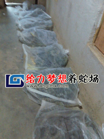 2014������u��ӛ